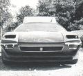 71pantera(custom)-5.jpg